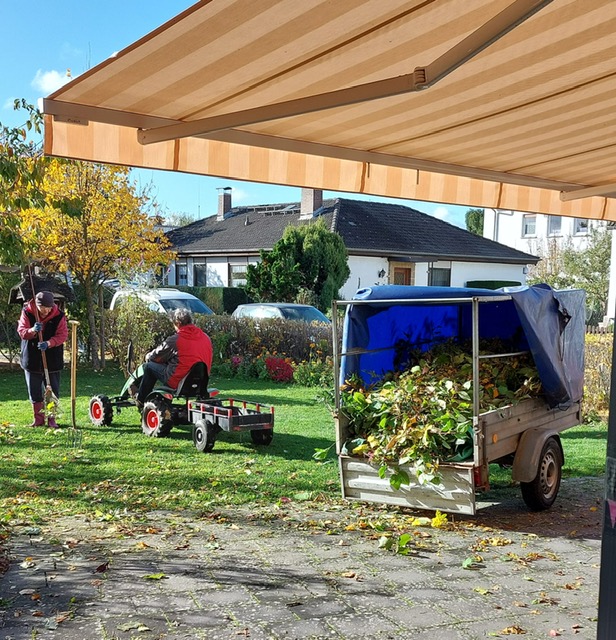 938bfcd4-9c80-40bd-8ac5-de6a3d7933f0