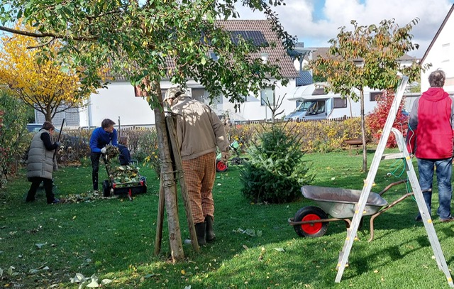 d99714f6-8eb5-4329-8736-f57f1cc244e4